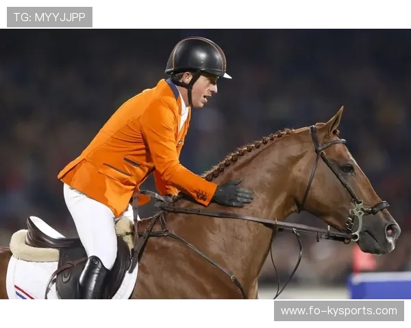 哥伦比亚马术协会设立“Sinjska Alka”奖学金，支持传统马术研究。